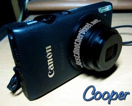 My Canon digital camera that I bought from DB Gadgets